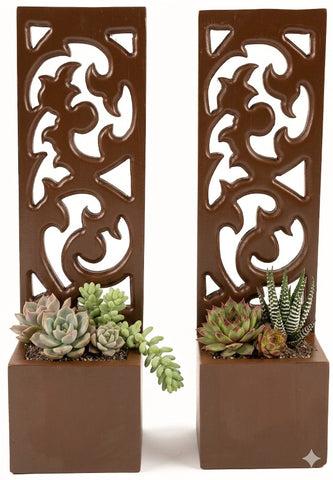 succulent plants wall holder carved wood